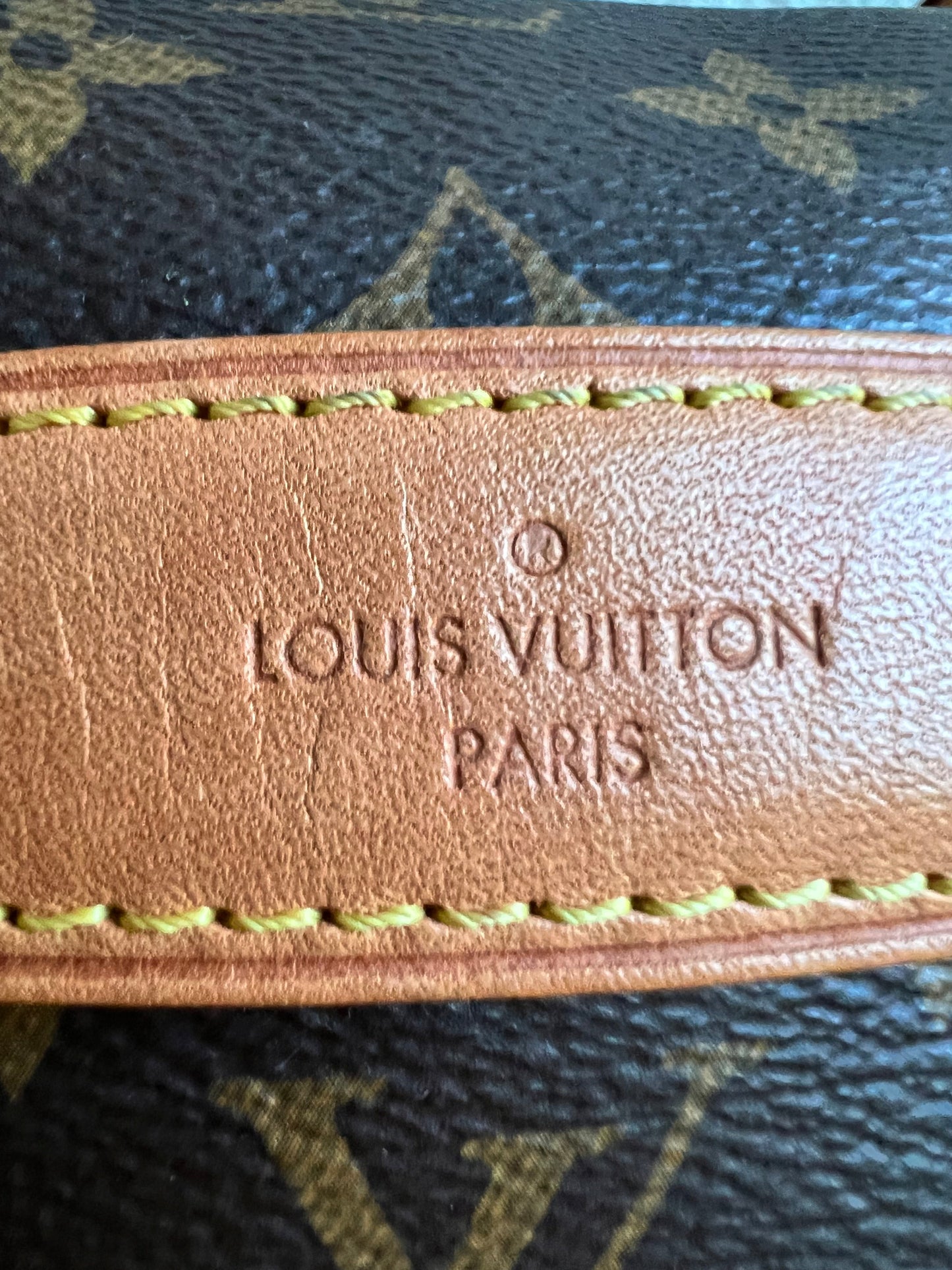 Louis Vuitton Bumbag in Monogram Canvas