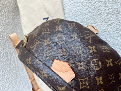 Louis Vuitton Bumbag in Monogram Canvas