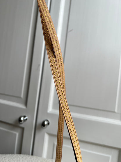 Louis Vuitton Carry It Tote
