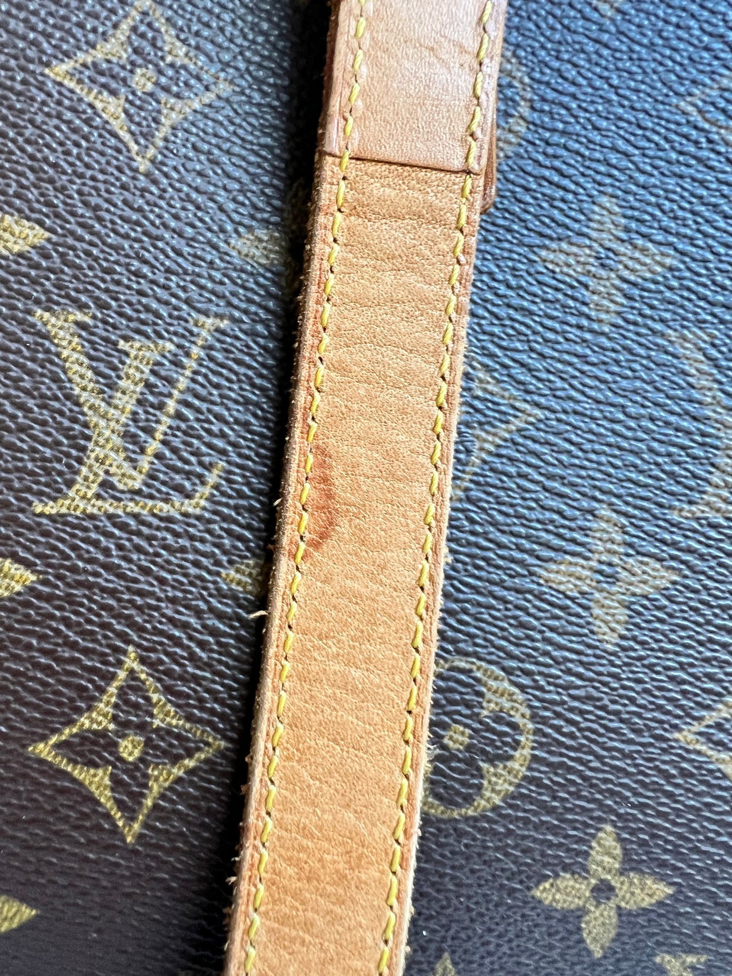 Louis Vuitton Luca Tote Monogram