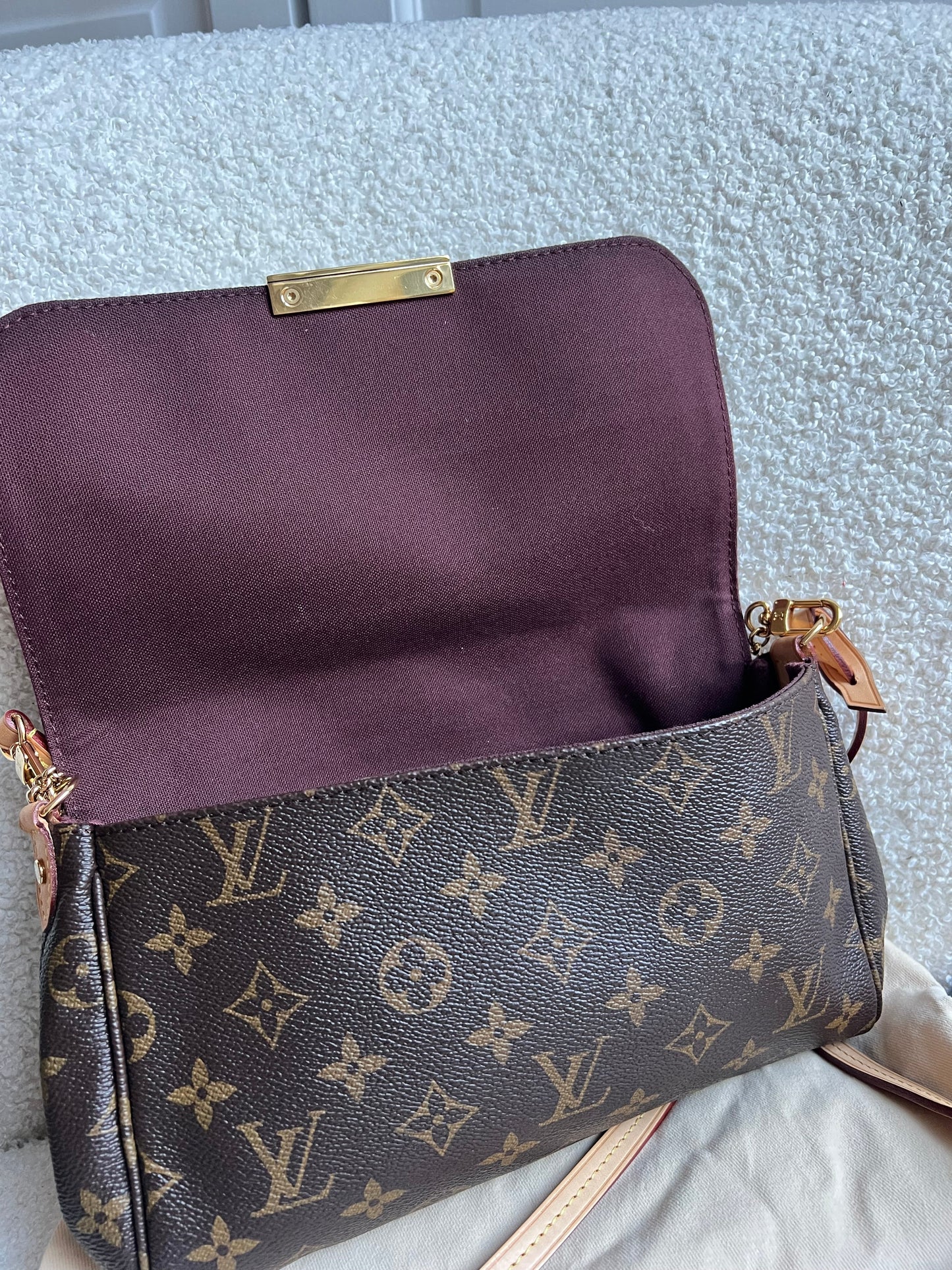 Louis Vuitton Favorite MM Monogram