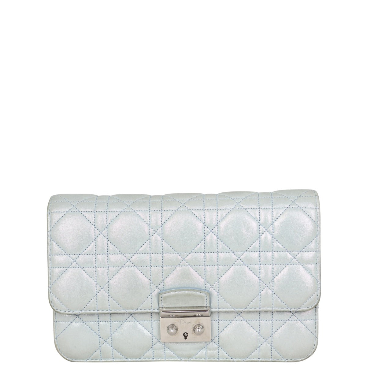 Dior Luxury Leather Clutch Clutch