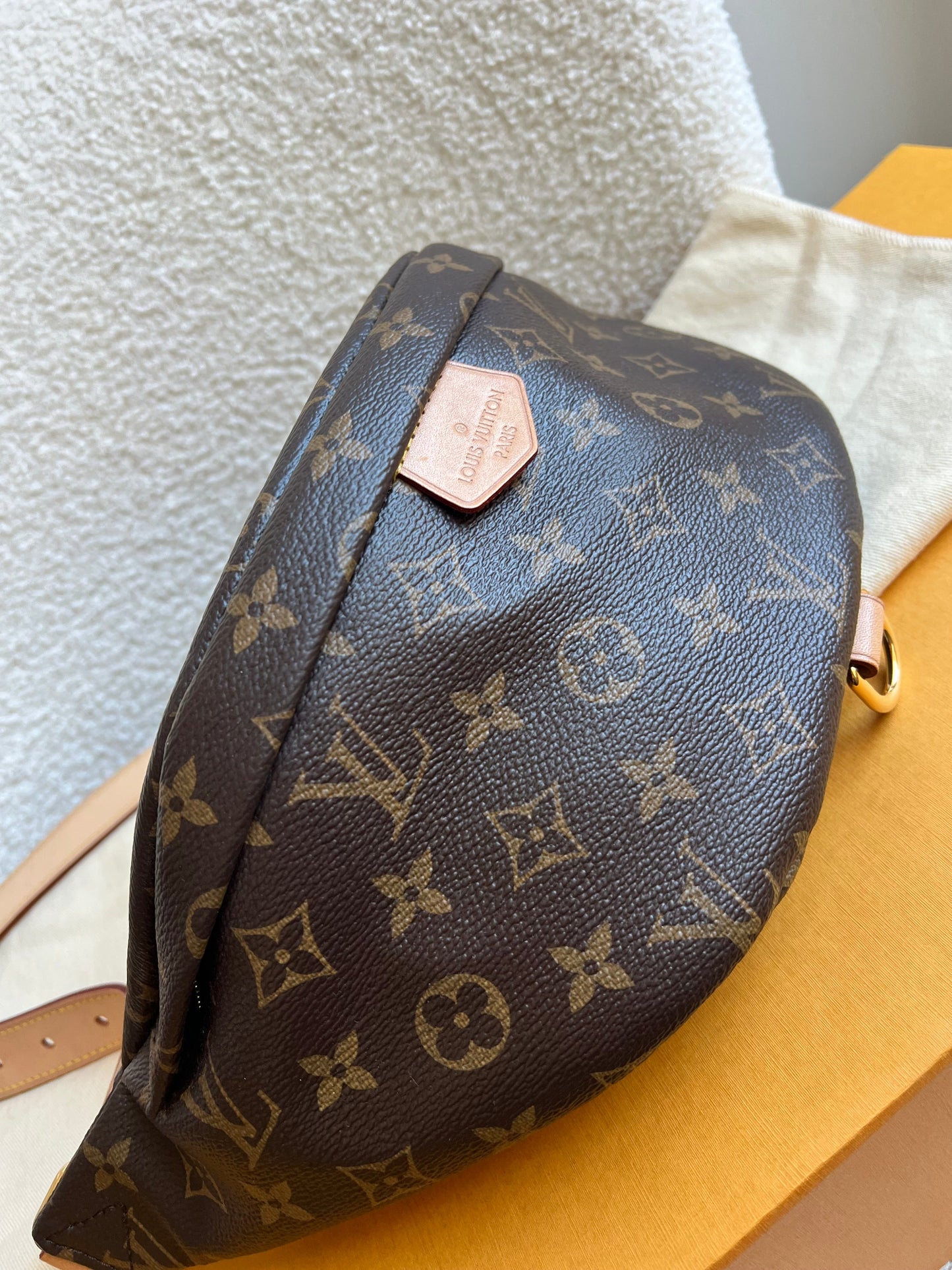 Louis Vuitton Bumbag in Monogram Canvas