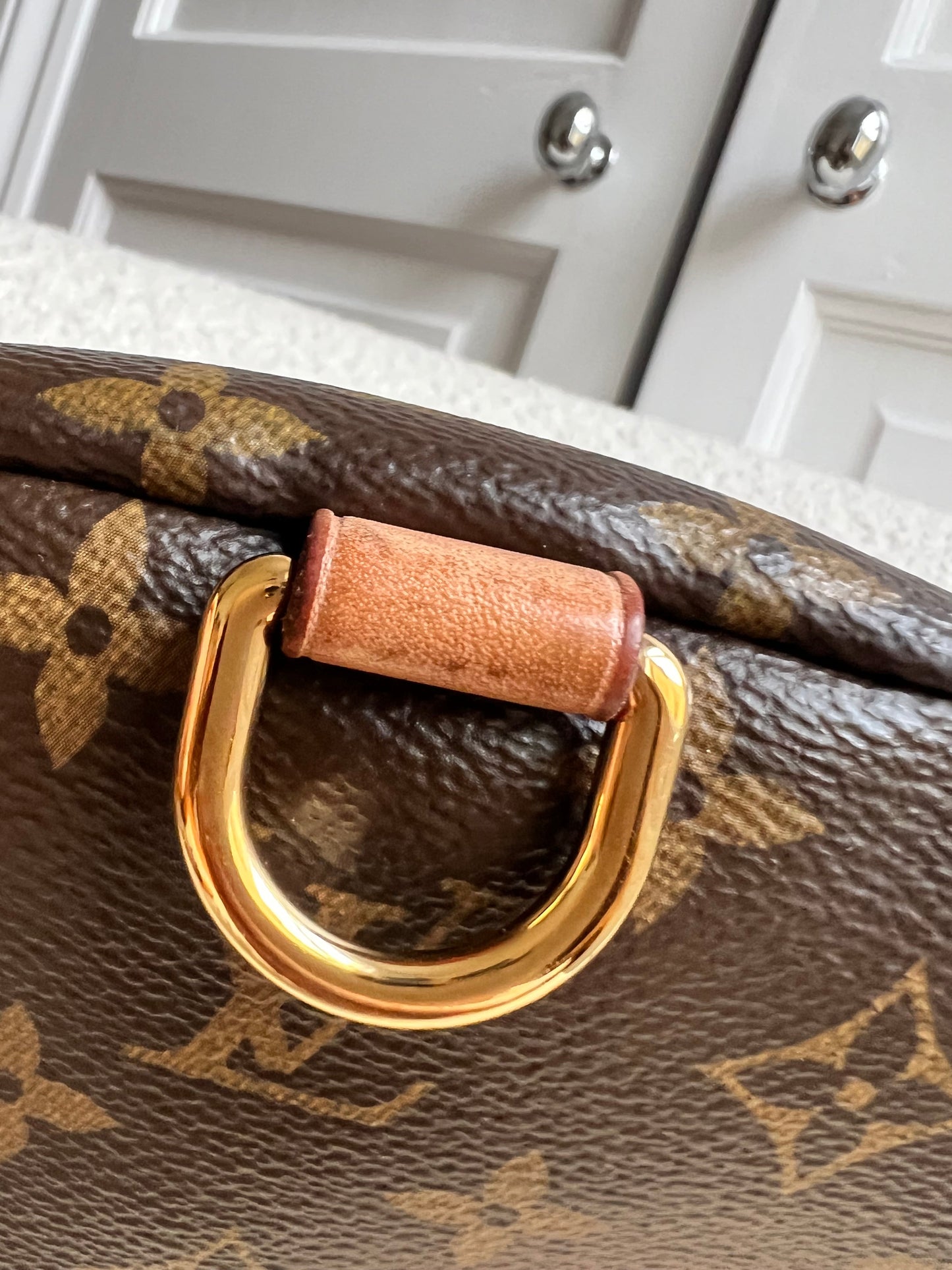 Louis Vuitton Bumbag in Monogram Canvas