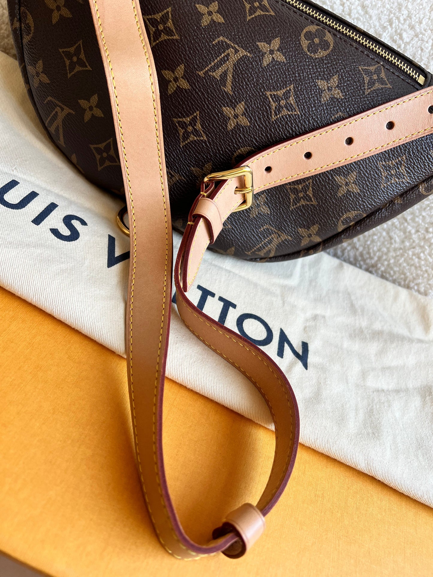 Louis Vuitton Bumbag in Monogram Canvas