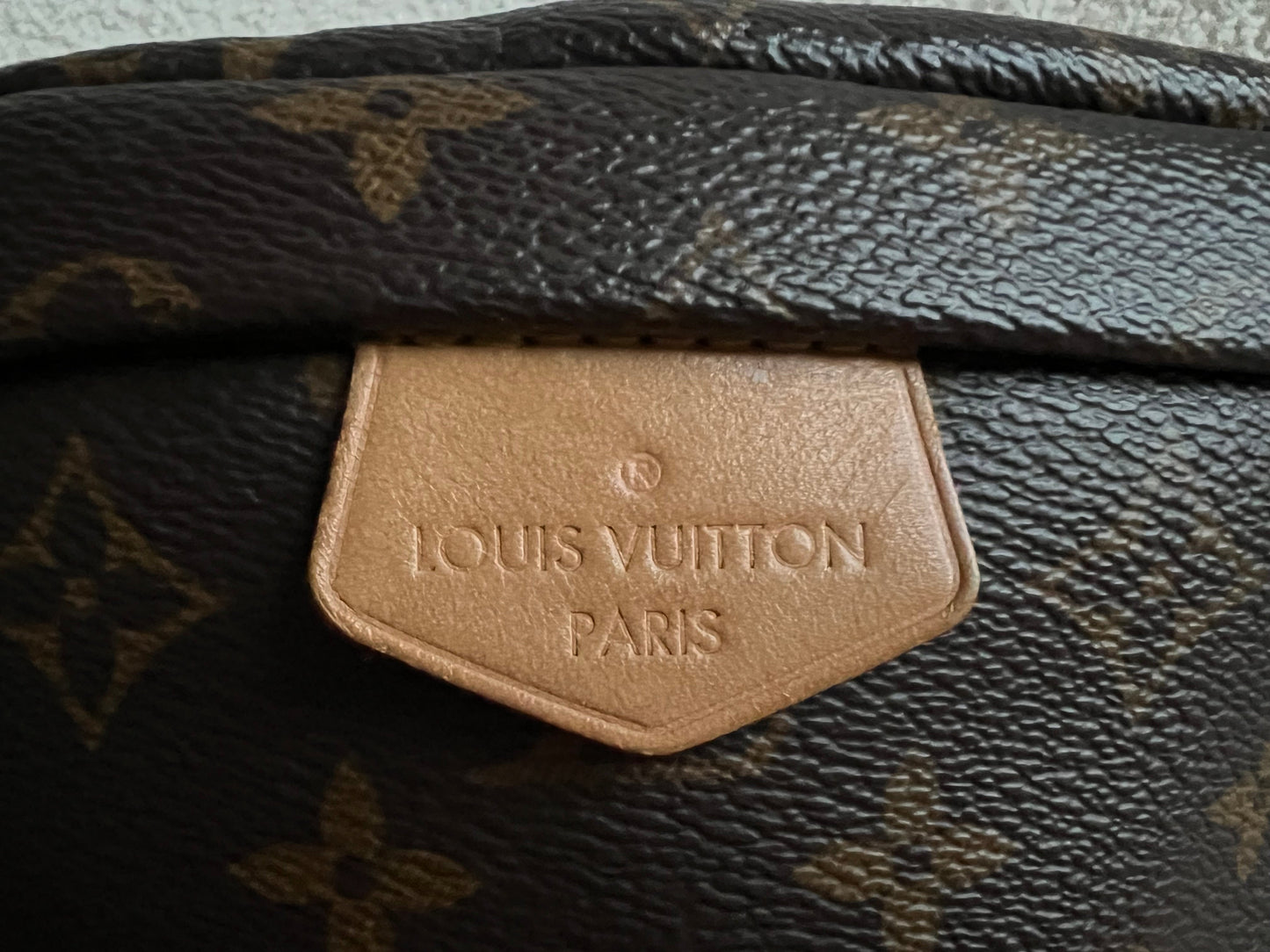 Louis Vuitton Bumbag in Monogram Canvas