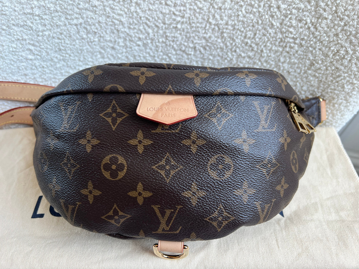 Louis Vuitton Bumbag in Monogram Canvas