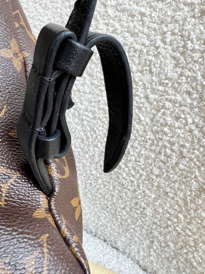 Louis Vuitton Palm Springs MM Backpack (RRP £2,090)