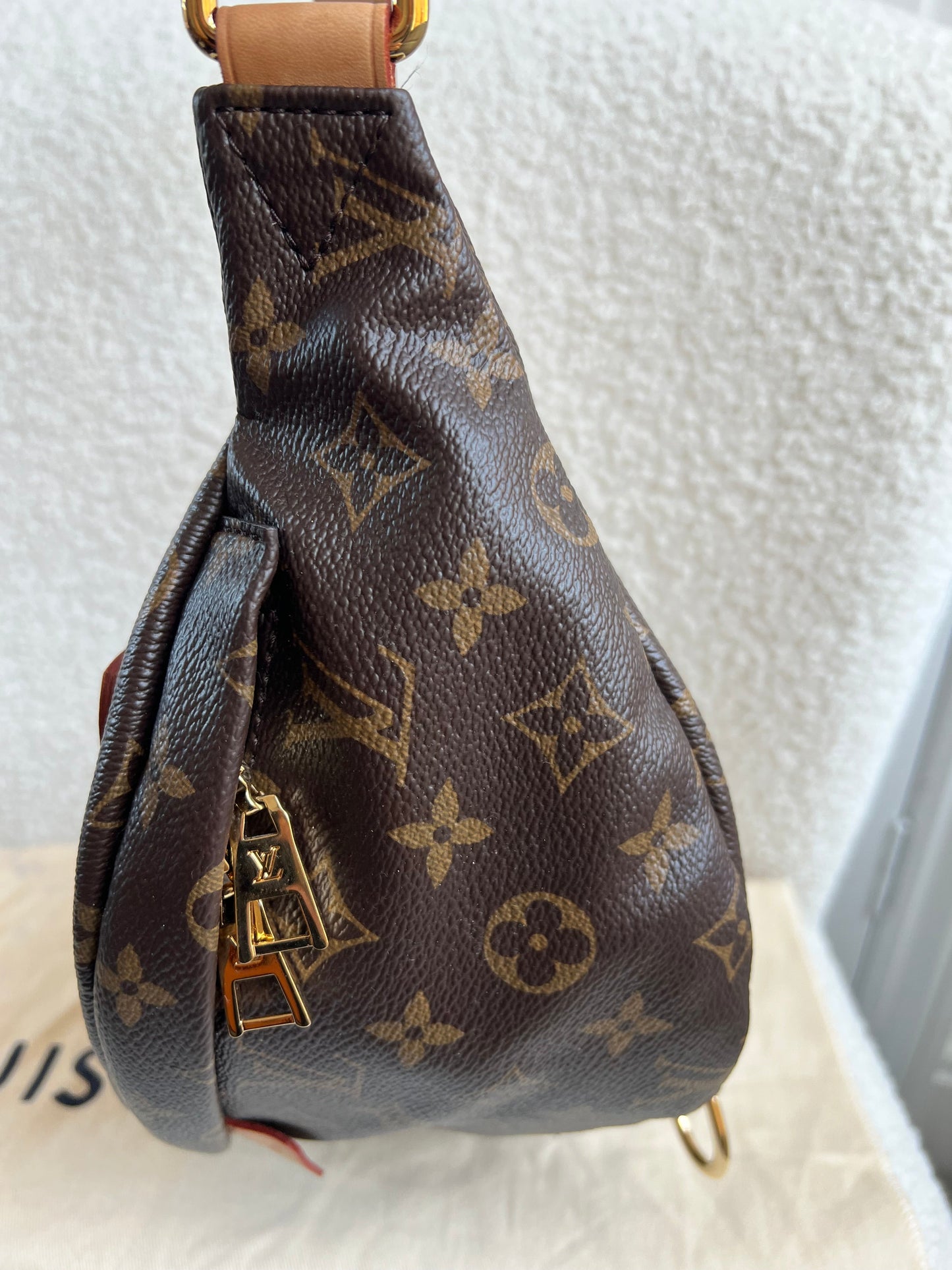 Louis Vuitton Bumbag in Monogram Canvas