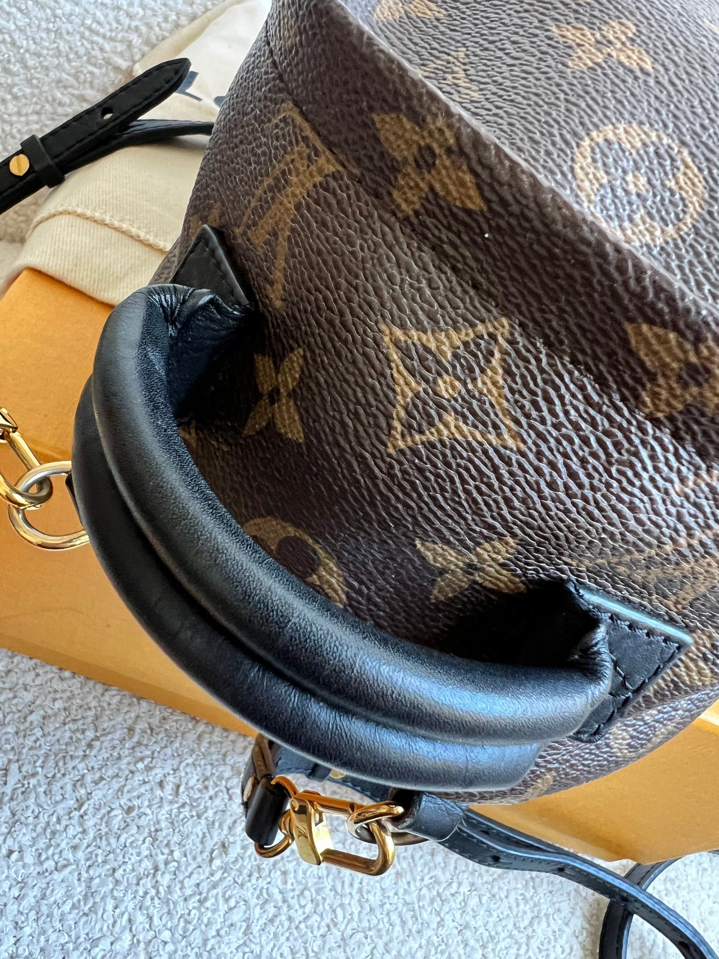 Louis Vuitton Palm Springs Mini Backpack (RRP £1,860)