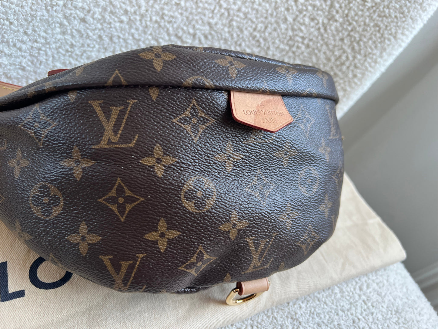 Louis Vuitton Bumbag in Monogram Canvas