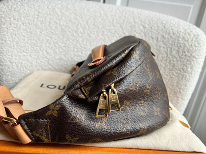 Louis Vuitton Bumbag in Monogram Canvas