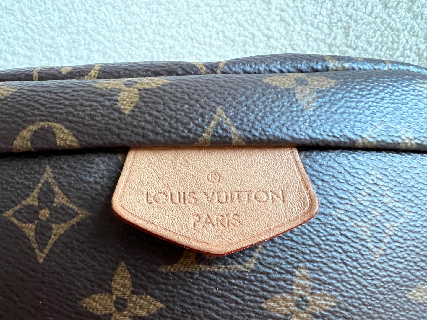 Louis Vuitton Bumbag in Monogram Canvas