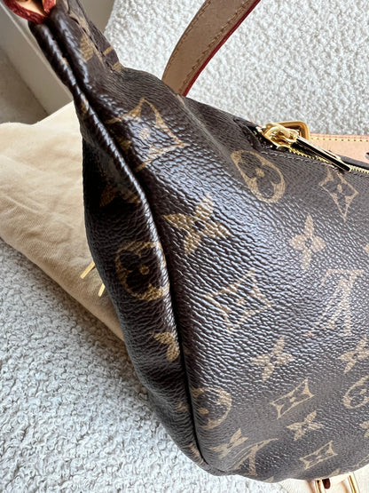 Louis Vuitton Bumbag in Monogram Canvas
