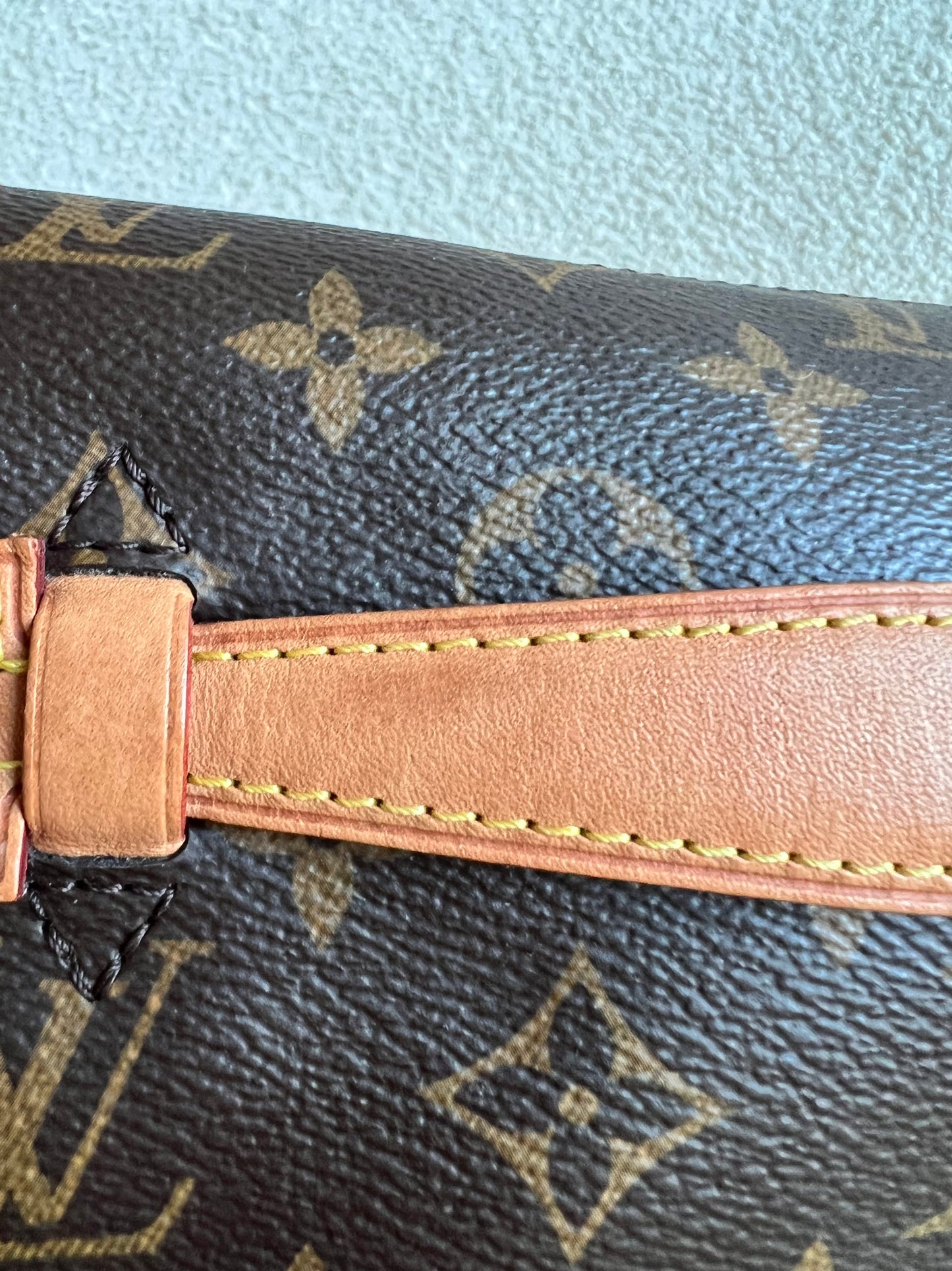 Louis Vuitton Bumbag in Monogram Canvas