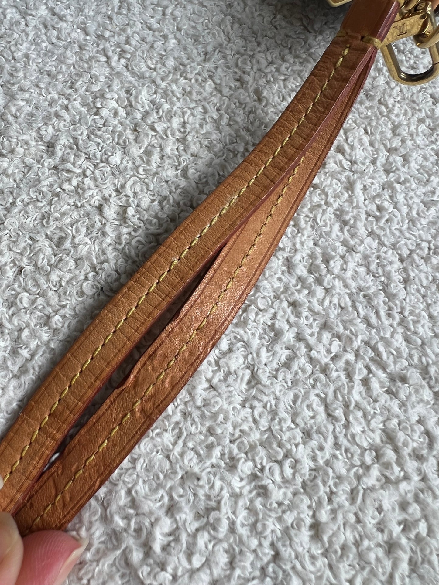 Louis Vuitton Monogram Partition Clutch