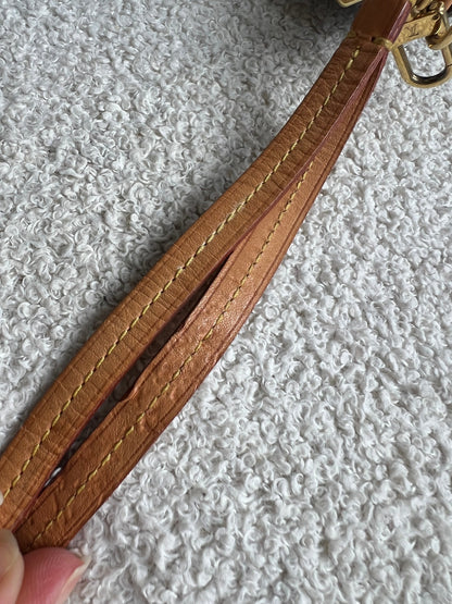 Louis Vuitton Monogram Partition Clutch
