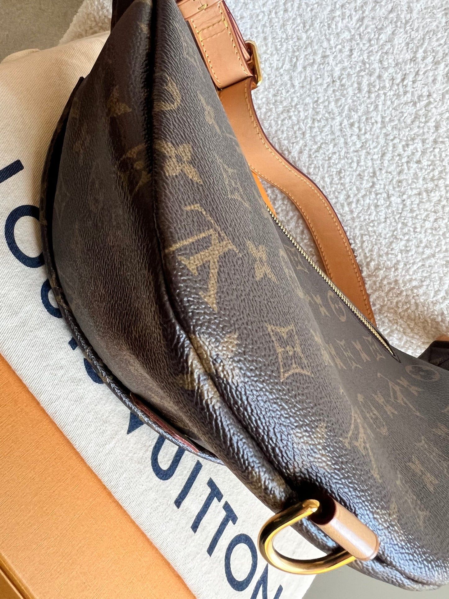 Louis Vuitton Bumbag in Monogram Canvas