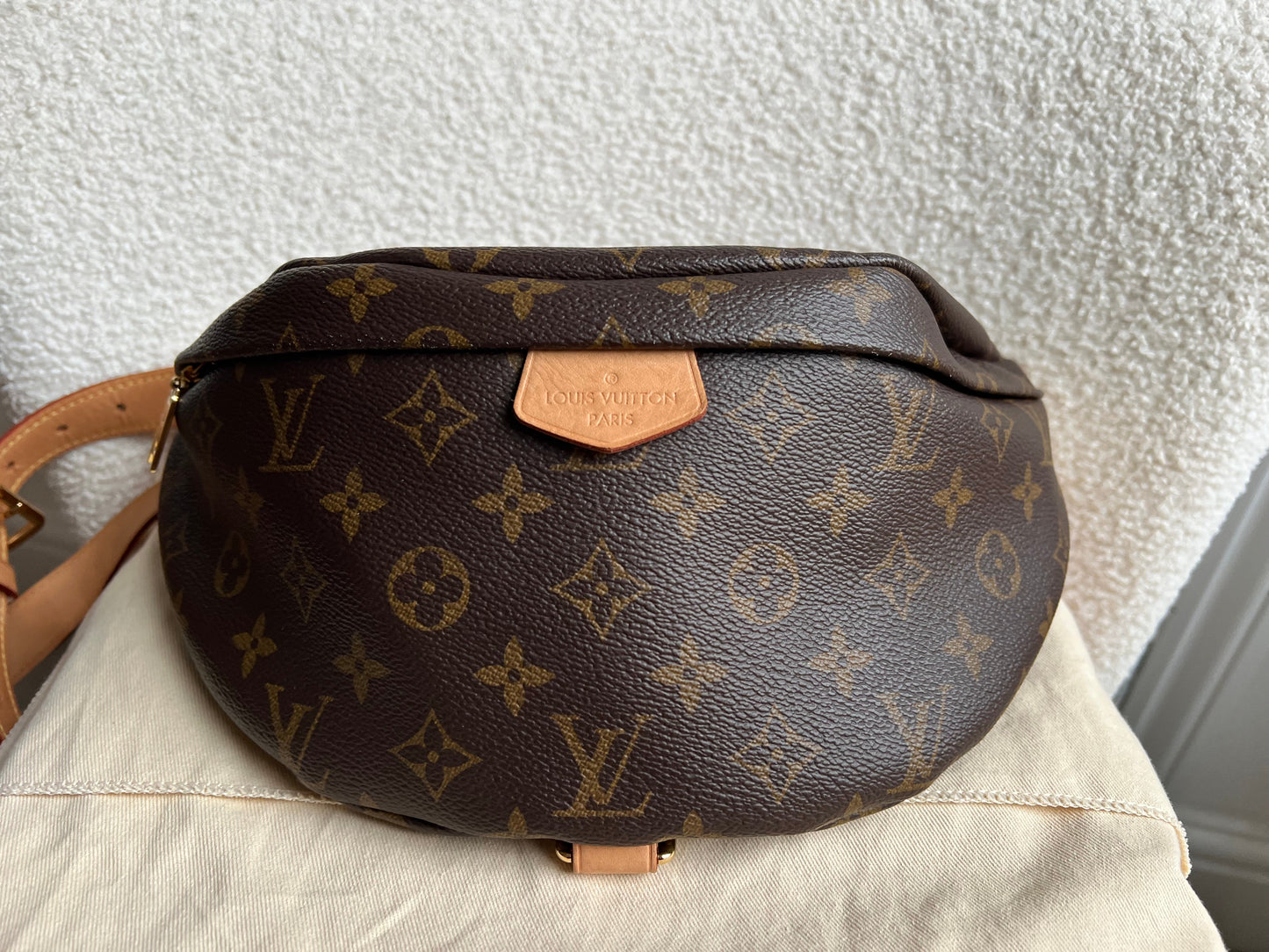 Louis Vuitton Bumbag in Monogram Canvas