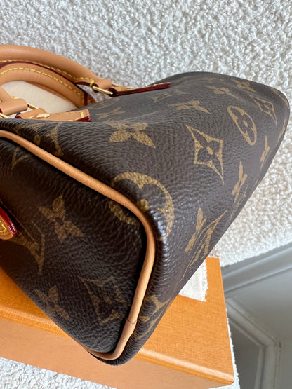 Louis Vuitton Speedy Nano Monogram (RRP £1450)