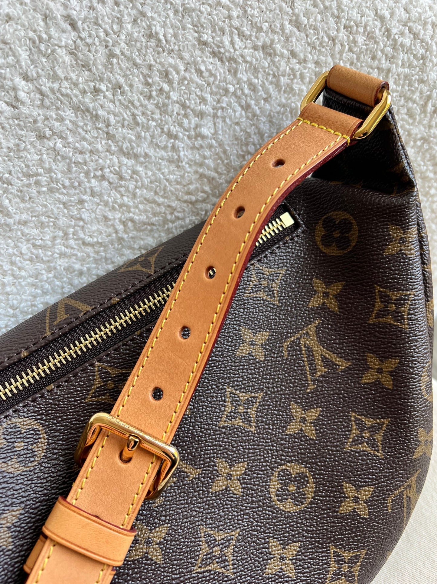 Louis Vuitton Bumbag in Monogram Canvas