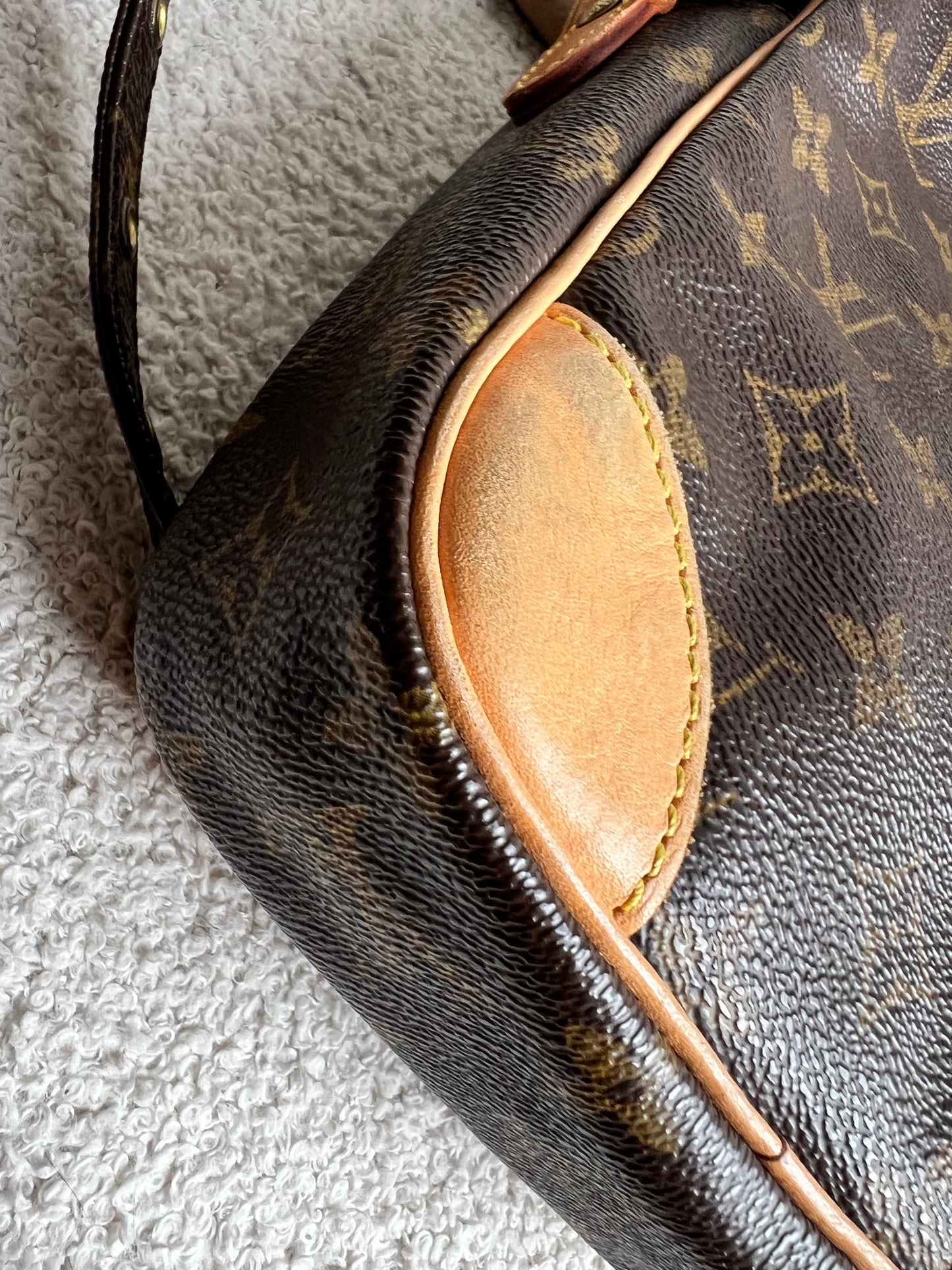 Louis Vuitton Danube Monogram
