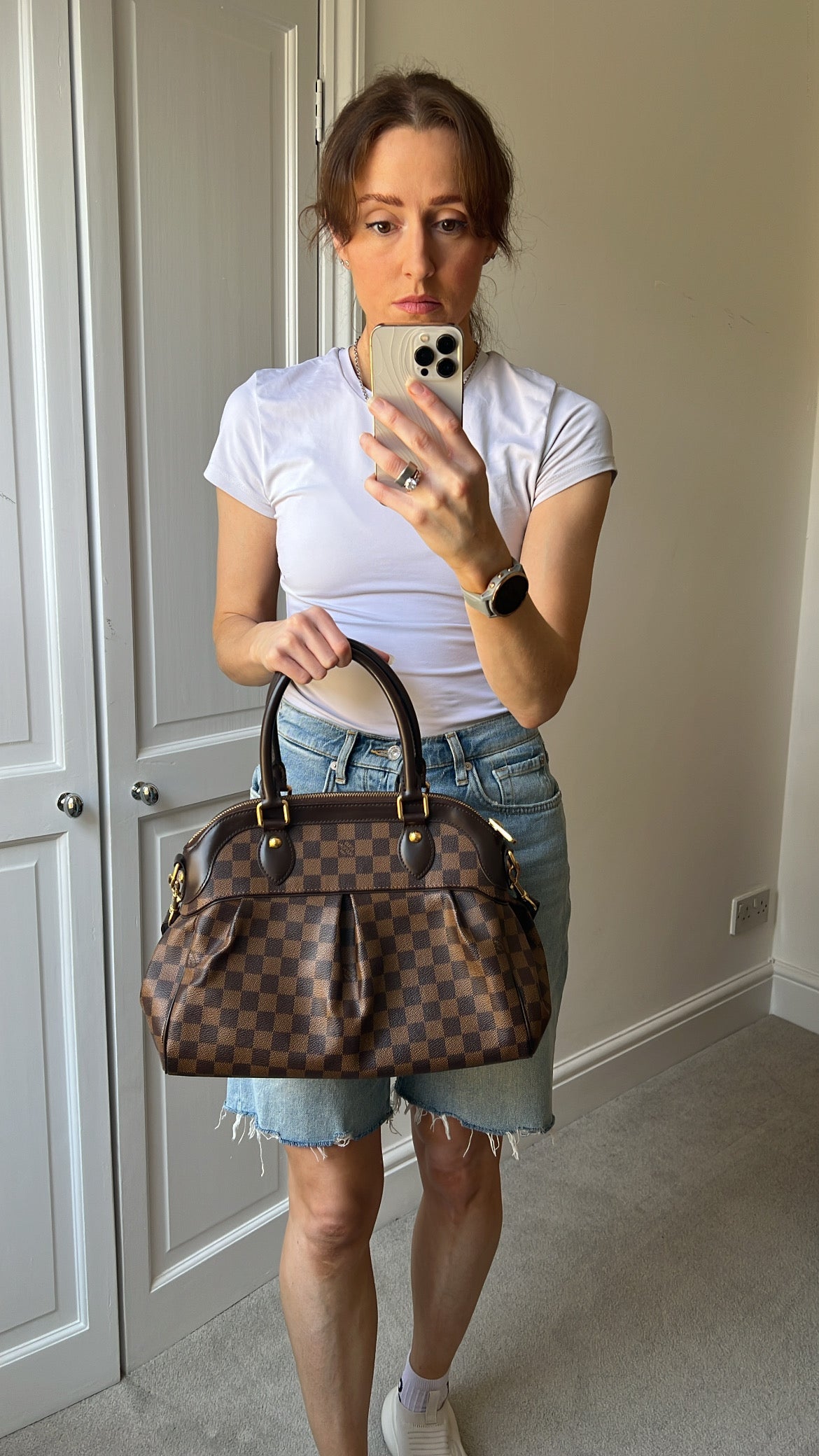 Vuitton Trevi PM Damier Ebene