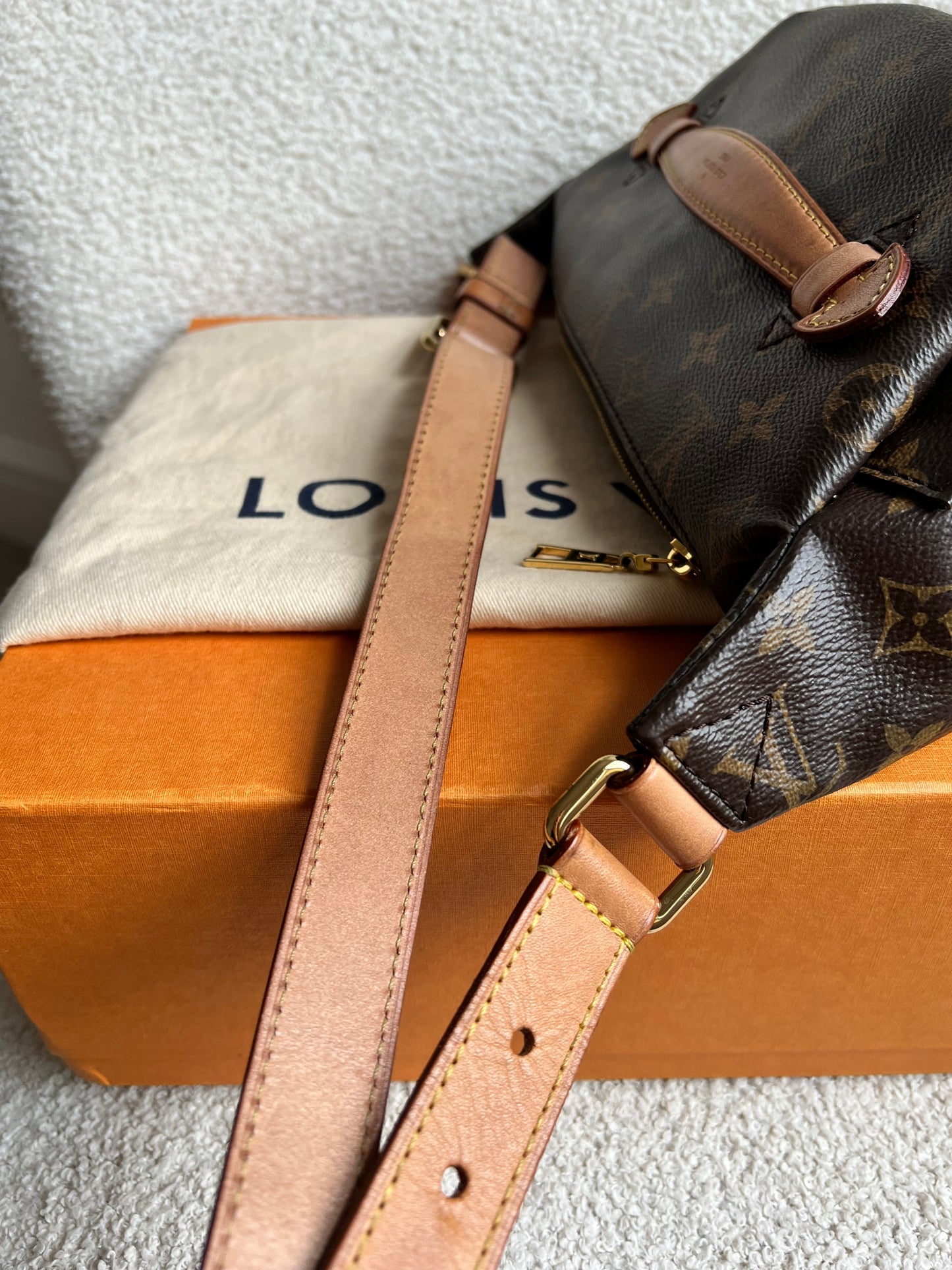 Louis Vuitton Bumbag in Monogram Canvas