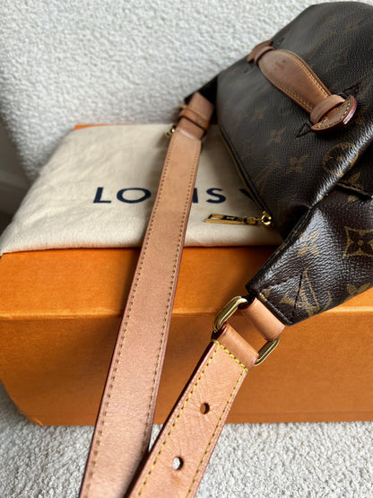 Louis Vuitton Bumbag in Monogram Canvas