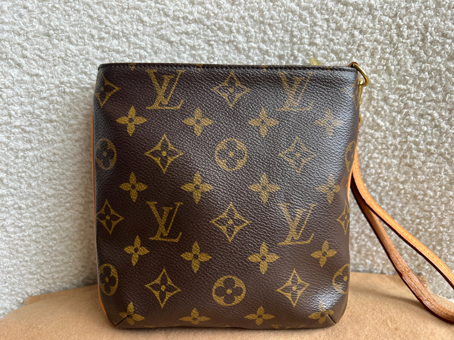 Louis Vuitton Monogram Partition Clutch