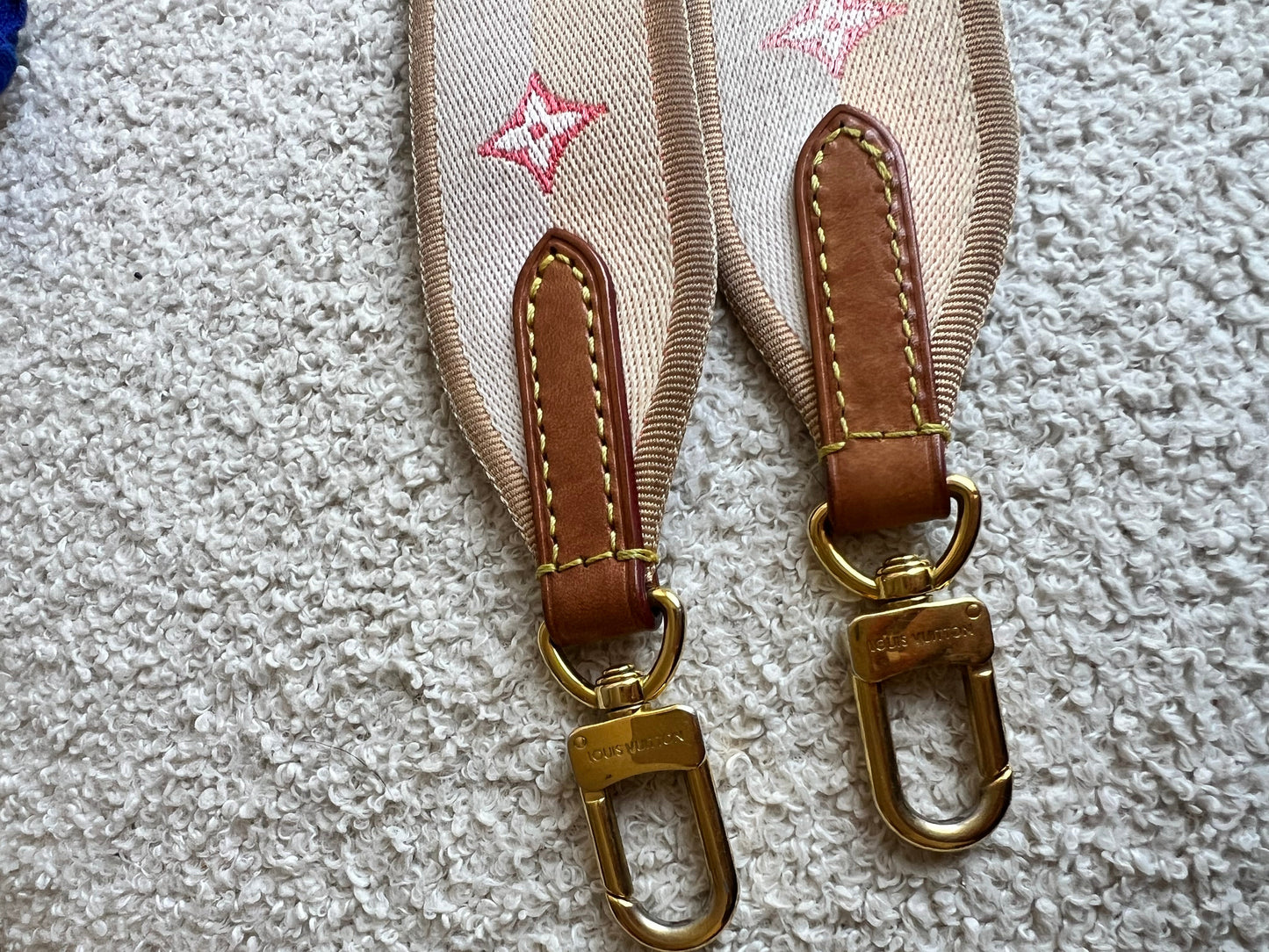 Louis Vuitton Canvas Bandouliere Strap