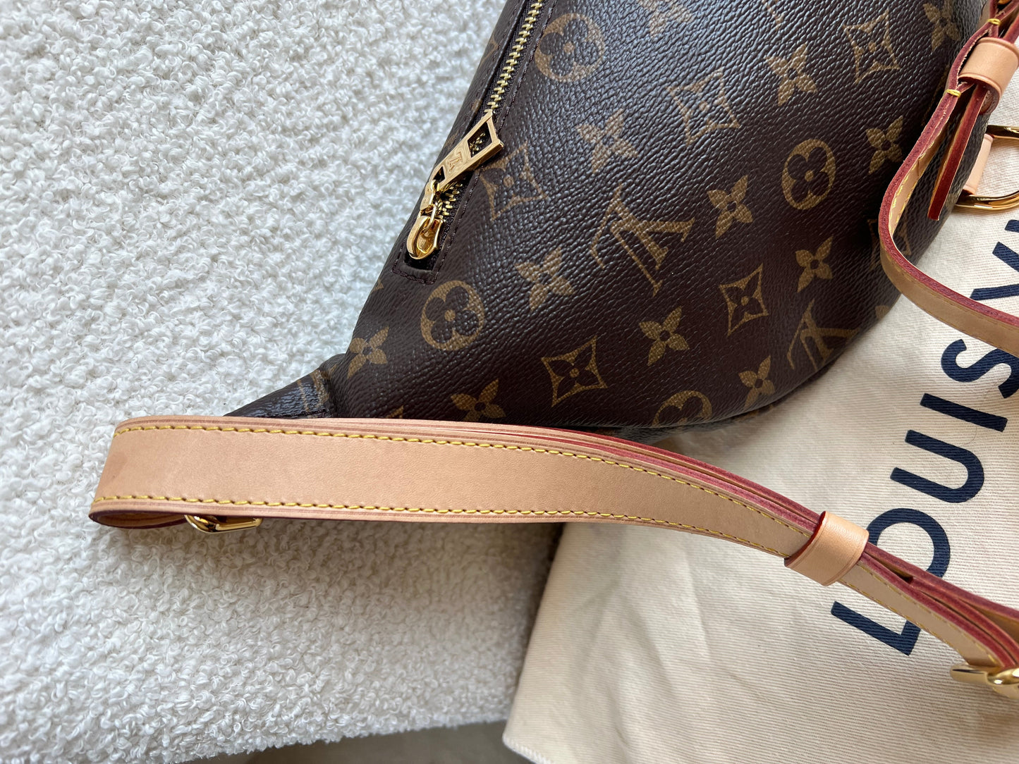 Louis Vuitton Bumbag in Monogram Canvas