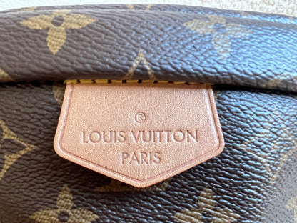 Louis Vuitton Bumbag in Monogram Canvas