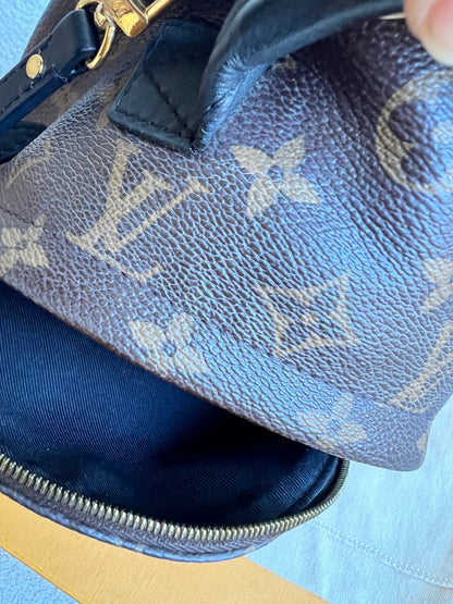 Louis Vuitton Palm Springs Mini Backpack (RRP £1,860)