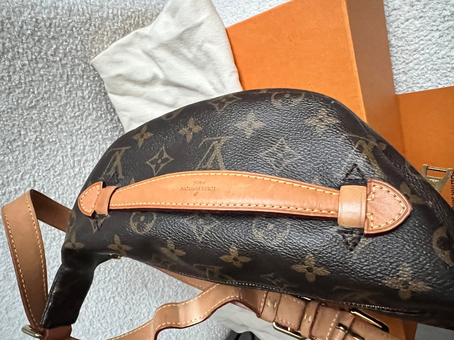 Louis Vuitton Bumbag in Monogram Canvas