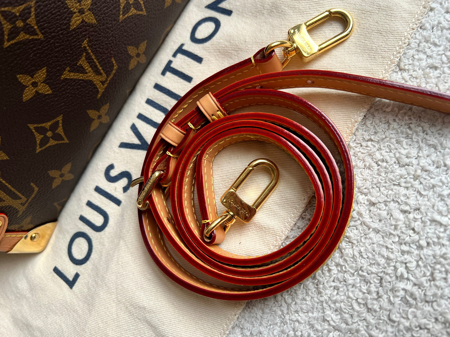 Louis Vuitton Side Trunk MM