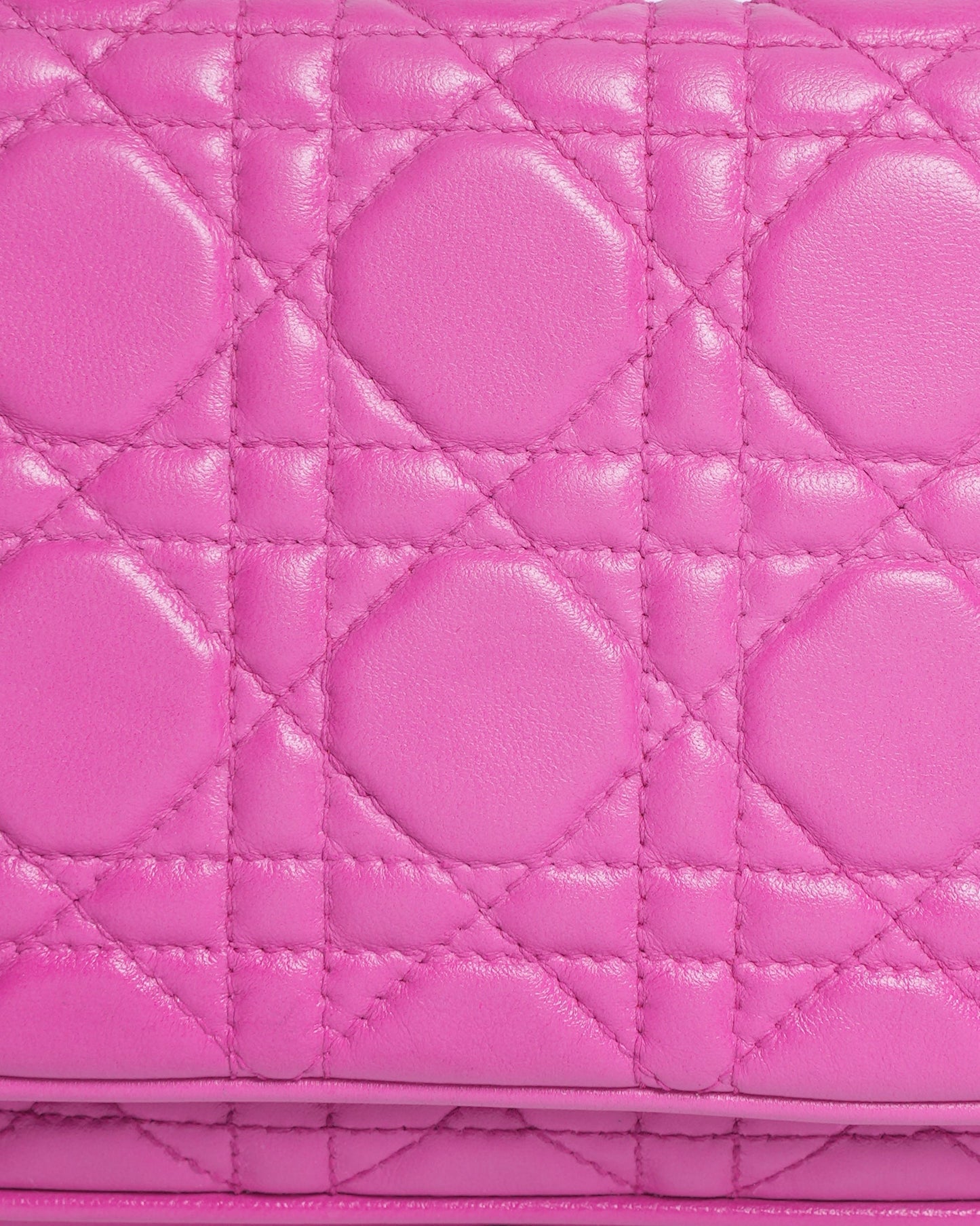 Dior Luxury Leather Crossbody Pink