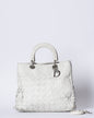 Dior Luxury Leather Handbag Style 10