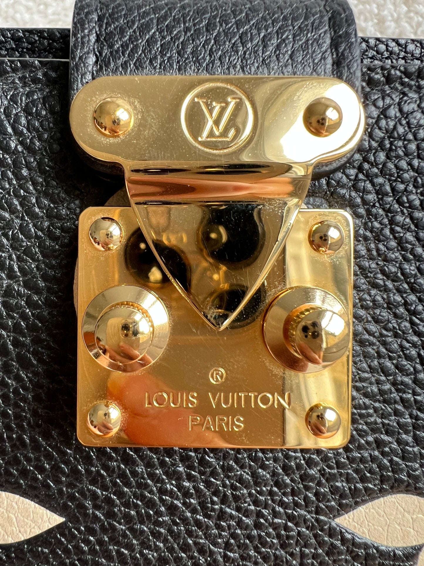 Louis Vuitton Notebook Cover Paul MM in Bicolour Giant Monogram