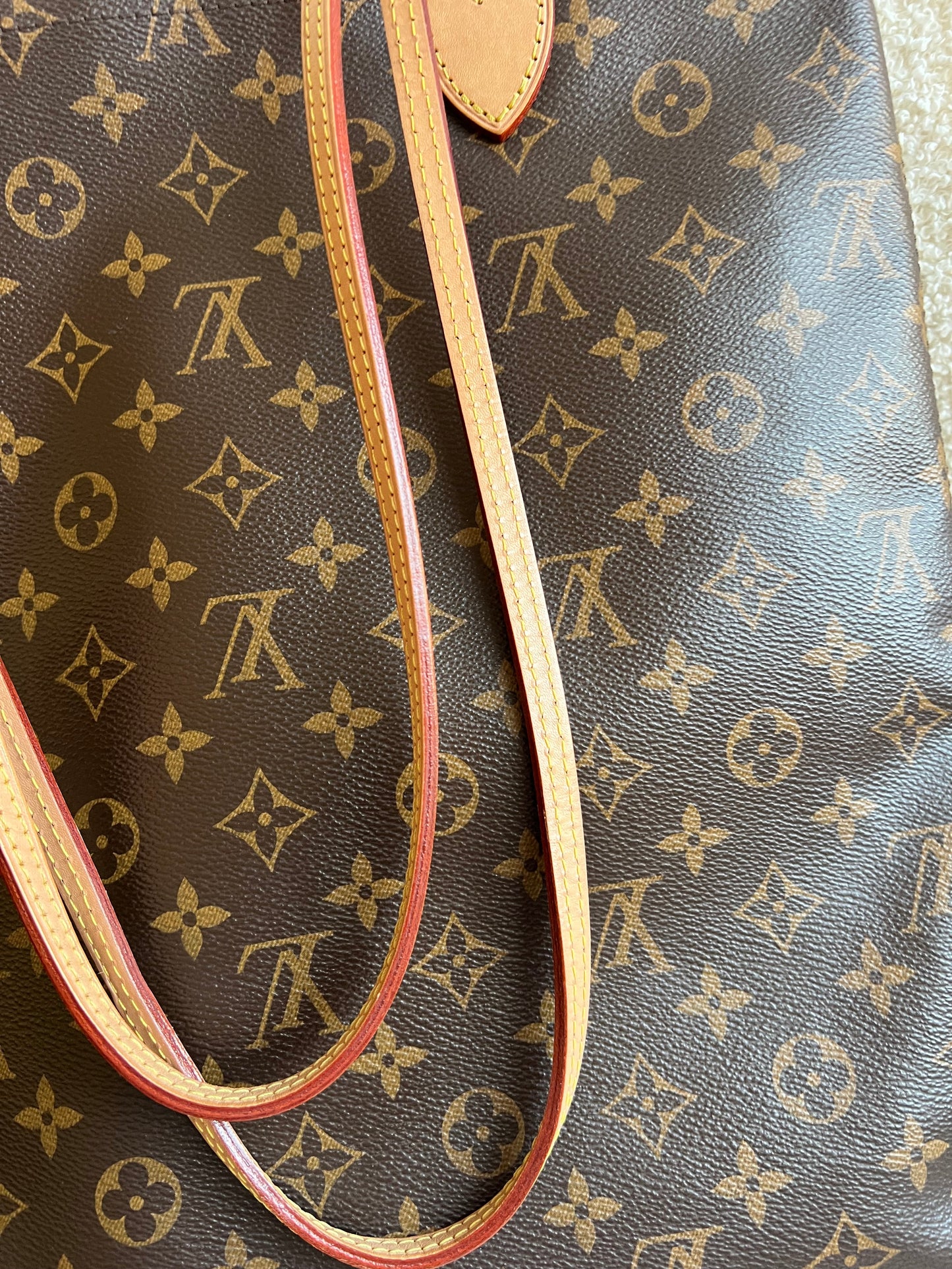 Louis Vuitton Carry It Tote