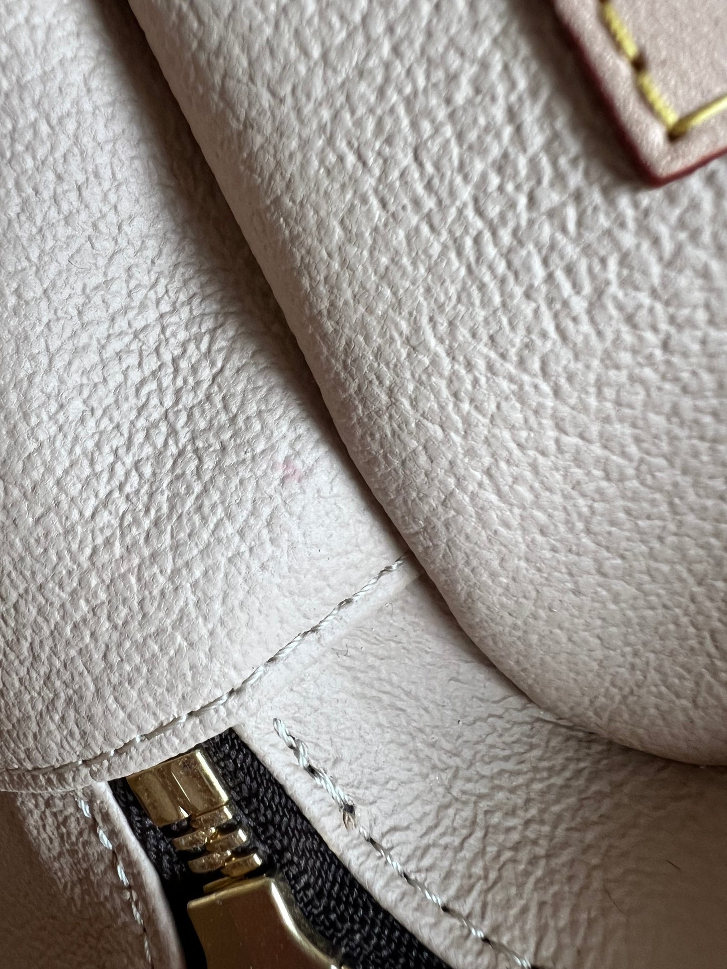 Louis Vuitton Nice Nano Bag Vanity Case (RRP £750)