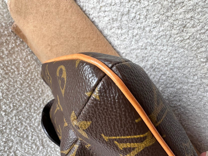 Louis Vuitton Monogram Partition Clutch