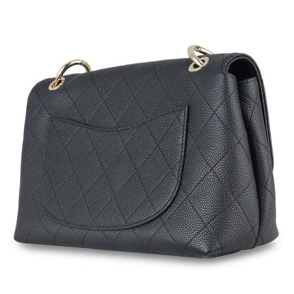 Chanel Chanel Seasonal Flap Bag