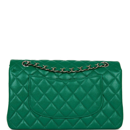 Chanel Medium Classic Double Flap Bag Green Caviar Silver Hardware