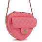 Chanel Luxury Lambskin Gold Handbag