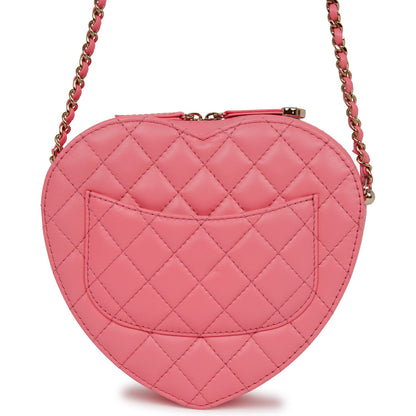 Chanel Luxury Lambskin Gold Handbag