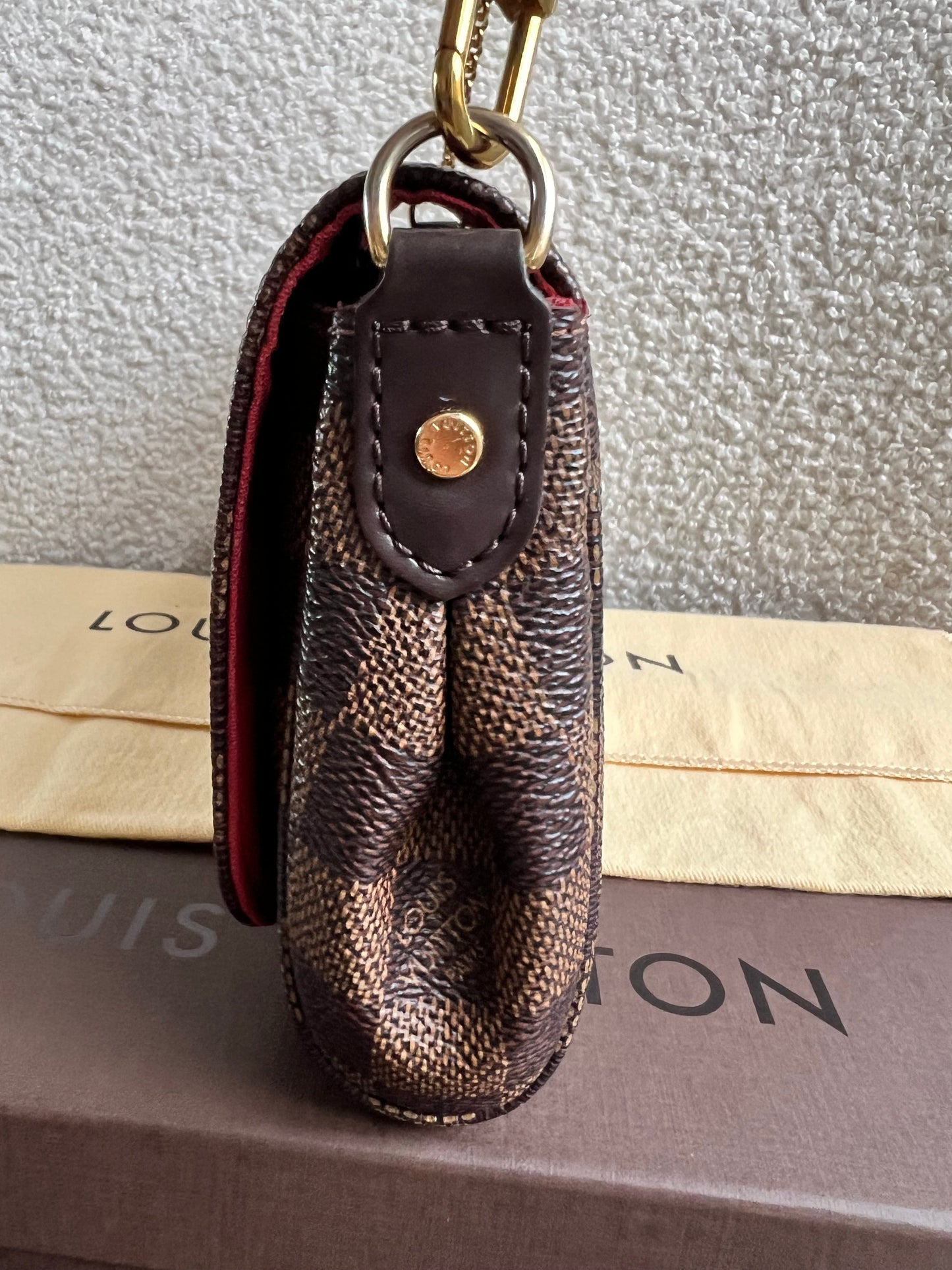 Louis Vuitton Favorite PM Damier Ebene