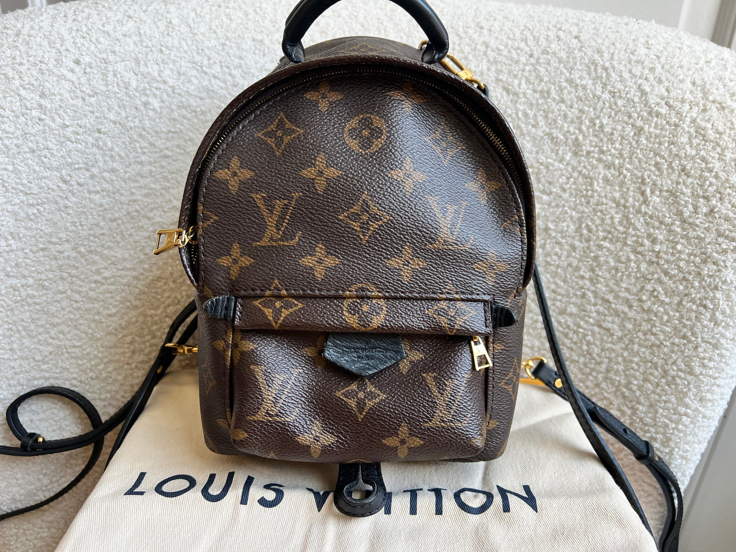 Louis Vuitton Palm Springs Mini Backpack (RRP £1,860)