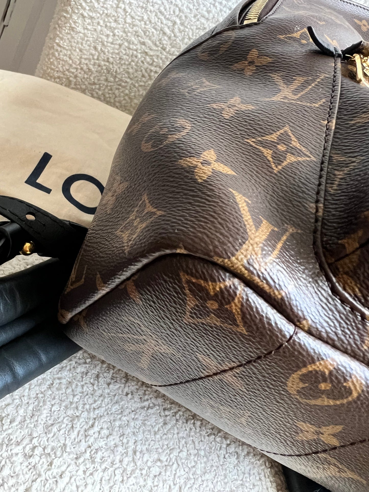 Louis Vuitton Palm Springs MM Backpack (RRP £2,090)