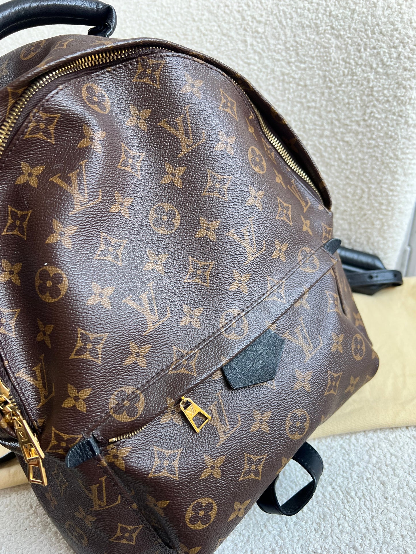Louis Vuitton Palm Springs MM Backpack (RRP £2,090)